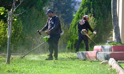 Beşköprü'nün yeşil yüzü yenileniyor