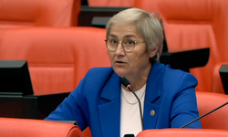 CHP'li Taşkent: Sapanca Gölü kirlilik ve kuraklık tehdidi altında