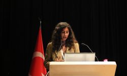 Zeytin: Bereket, Bolluk, Adalet, Direniş