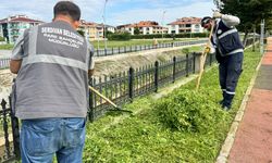 Serdivan'da mevsimsel çevre bakımı