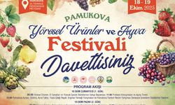 Pamukova'da yöresel ürünler ve ayva festivali başlıyor