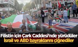 Filistin için Çark Caddesi'nde yürüdüler: İsrail ve ABD bayraklarını çiğnediler