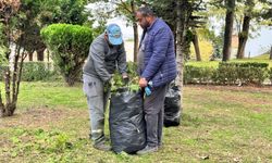 Serdivan'da yeşil alan bakım çalışması