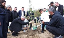 Serdivan'da Milli Ağaçlandırma gününde yeşil imza
