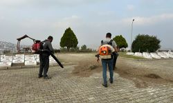Serdivan Şehitliği'nde kapsamlı yeşil alan bakımı