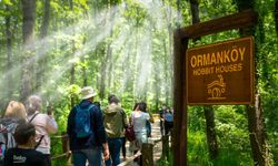 Ormanya ve Kuzuyayla'ya ziyaretçi akını