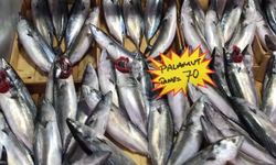 Buzhane balığına dikkat