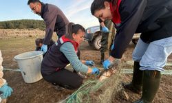 5 kilometrelik hayalet ağ toplandı