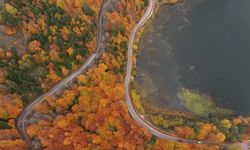 Abant’a ziyaretçi akını