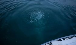 Sapanca Gölü’ndeki kabarcıkların verdiği endişe artıyor: "Herkes korkuyor, rahat uyuyamıyoruz"