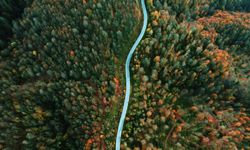 Sonbaharın renkleri Çam Dağı'nı baştan sona sardı