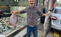 7,5 kilo ağırlığında levrek yakalandı