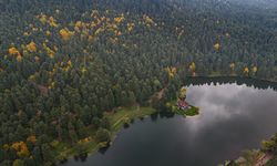 Gölcük’teki işletmeler 3’üncü kez ihaleye çıkıyor