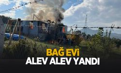 Bağ evi alevlere teslim oldu