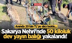 Sakarya Nehri'nde 50 kiloluk dev yayın balığı yakalandı! Anında 20 bin TL'ye alıcı buldu...