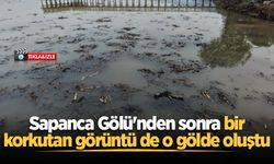 Sapanca Gölü'nden sonra bir korkutan görüntü de o gölde oluştu