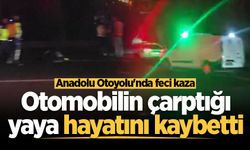 Anadolu Otoyolu'nda feci kaza: Otomobilin çarptığı yaya hayatını kaybetti