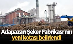 Adapazarı Şeker Fabrikası'nın yeni kotası belirlendi