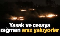 Yasak ve cezaya rağmen anız yakıyorlar