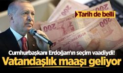 Cumhurbaşkanı Erdoğan'ın seçim vaadiydi! Vatandaşlık maaşı geliyor