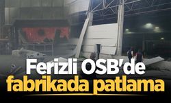 Ferizli OSB'de fabrikada patlama: 1 yaralı