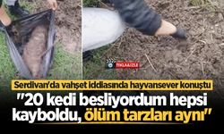 Serdivan'da vahşet iddiasında hayvansever konuştu: "20 kedi besliyordum hepsi kayboldu, ölüm tarzları aynı"
