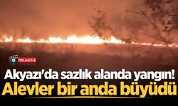 Akyazı’da sazlık alanda çıkan yangın korkuttu