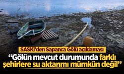 SASKİ'den Sapanca Gölü açıklaması: “Gölün mevcut durumunda farklı şehirlere su aktarımı mümkün değil”