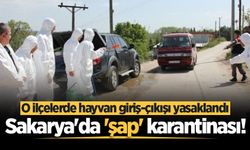 Sakarya'da 'şap' karantinası! O ilçelerde hayvan giriş-çıkışı yasaklandı
