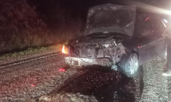 Domuza çarpan otomobil hurdaya döndü: 1 yaralı