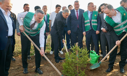 15 milyon fidan toprakla buluştu: Hedef 600 milyon fidan