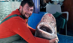 4 metre uzunluğunda köpek balığı ağa takıldı