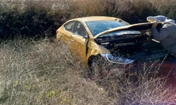 Ticari taksi tarlaya uçtu