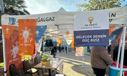 Tever'den Kocaali'deki olaya kınama