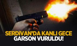 Telek bayisinde garsonu vurdu!