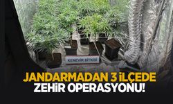 Jandarmadan zehir tacirlerine darbe