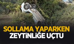 Sollama yaparken zeytinliğe uçtu