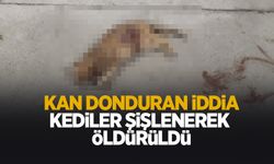 Kan donduran vahşet iddiası