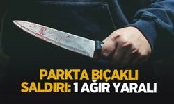 Parkta bıçaklı saldırı