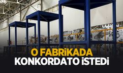 Sakarya'da üretim yapan fabrika konkordato istedi