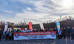 Memur-Sen’liler yüzlerce fidan dikti