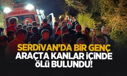 Araçta kanlar içinde ölü bulundu