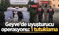 Geyve'de uyuşturucu operasyonu: 1 tutuklama