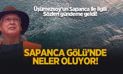 Sapanca Gölü'nde neler oluyor?