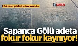 Sapanca Gölü adeta fokur fokur kaynıyor! Görenler gözlerine inanamadı...