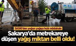 Sakarya'da metrekareye düşen yağış miktarı belli oldu!