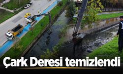 Çark Deresi temizlendi