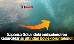Sapanca Gölü'ndeki endişelendiren kabarcıklar su altından böyle görüntülendi!