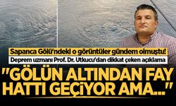 Sapanca Gölü'ndeki o görüntüler gündem olmuştu! Prof. Dr. Utkucu'dan dikkat çeken açıklama
