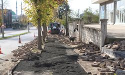 Hendek'te ekiplerin saha mesaisi sürüyor